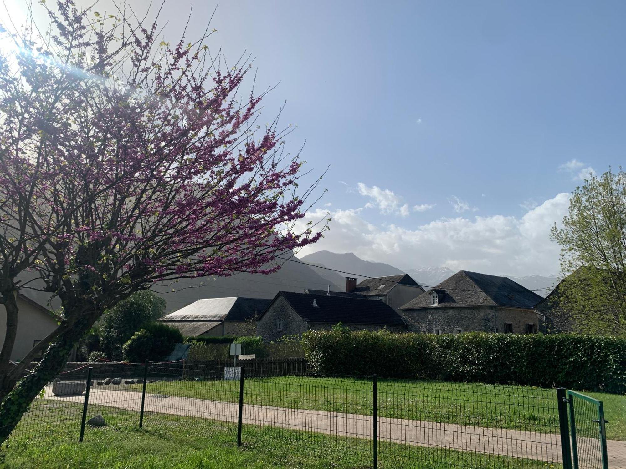 La Suite Unique - Le Jardin Sur Les Pyrenees- Vue Panoramique Montagne -Jardin Cloture Prive De 100M2-Parking-Linge De Lit Et Serviettes Compris- Bielle Exterior foto